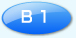 B1