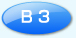 B3