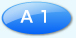 A1