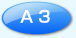 A3