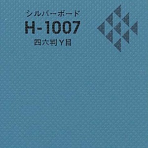 silverboard-h1007